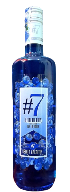 Gin Blueberry 750ml